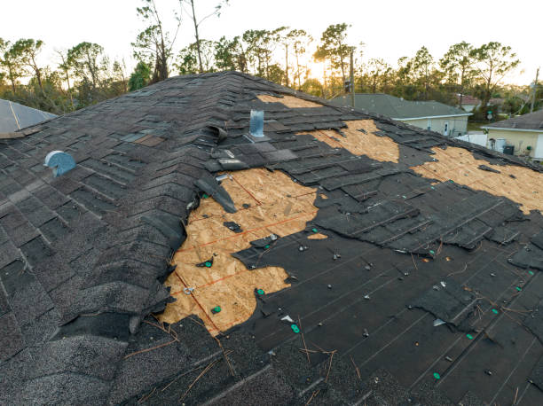 Roof Moss and Algae Removal in Creston, OH